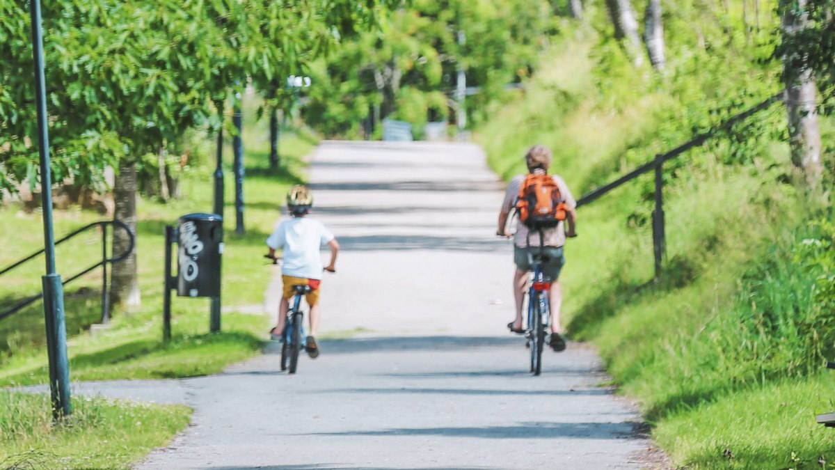 Mężczyzna i chłopiec na rowerach 