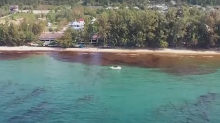 Ropa dotarła do plaży tajlandzkiej prowincji Rayong