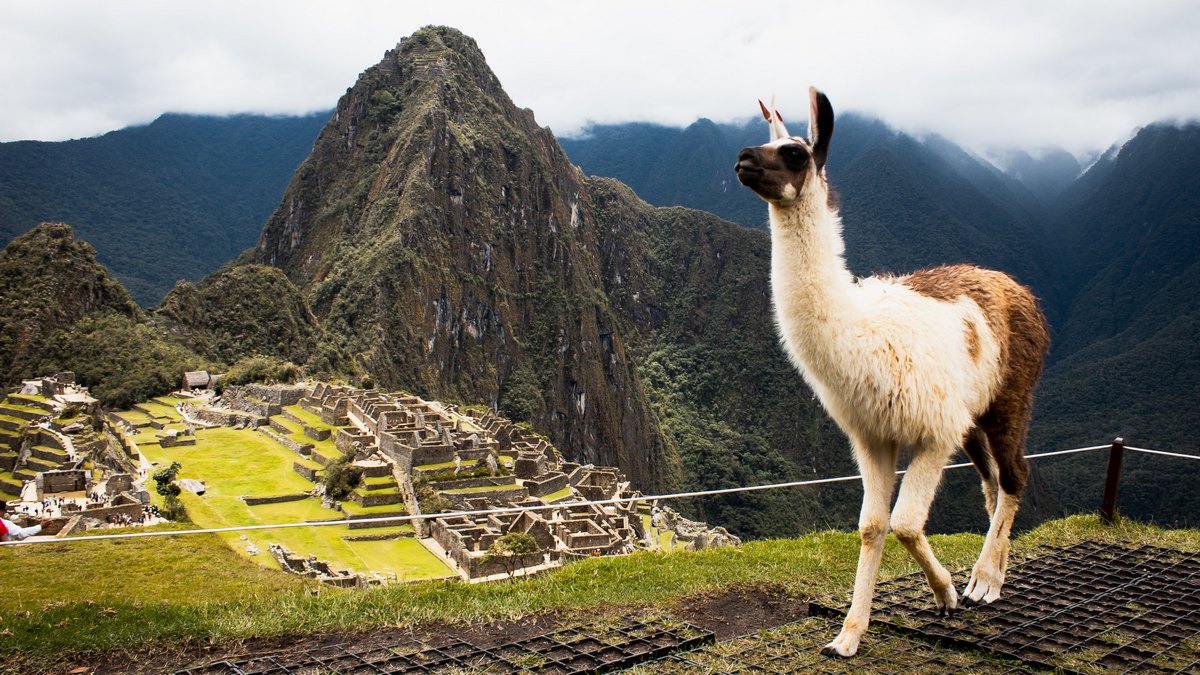 Machu Picchu, Peru