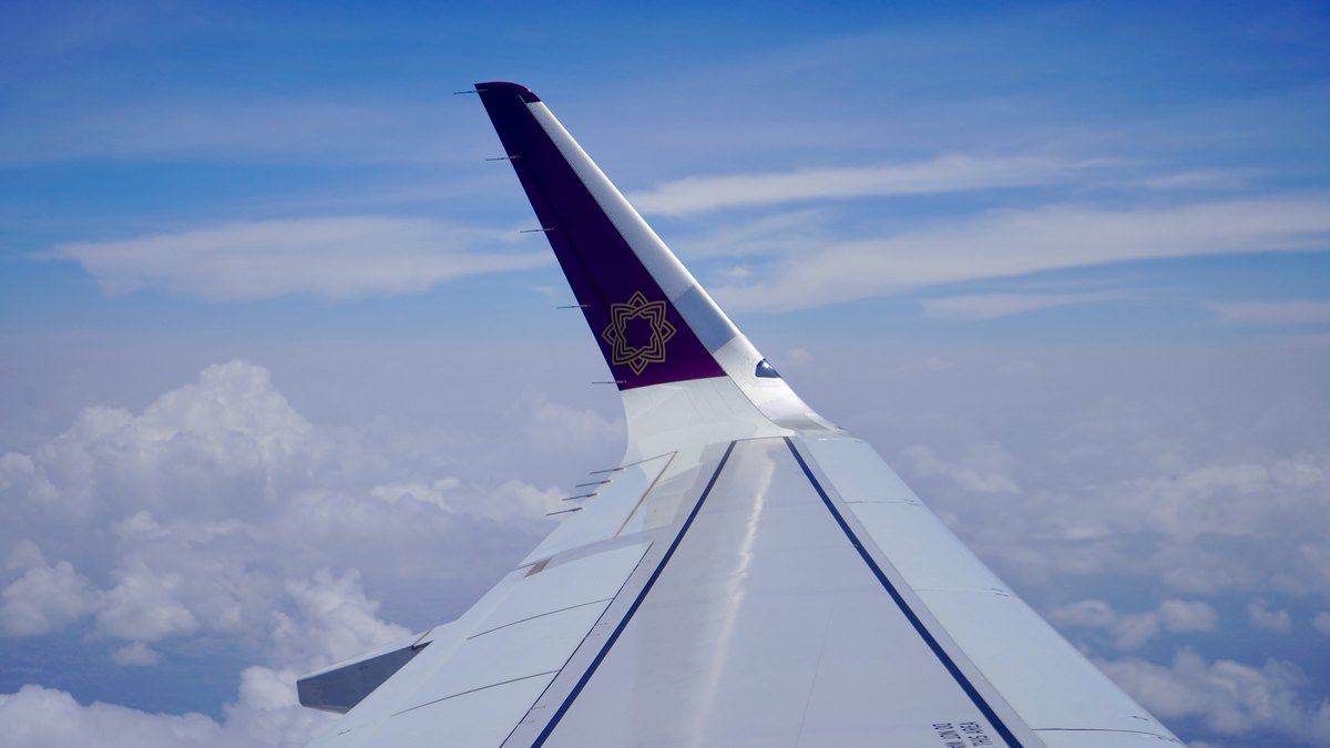 Skrzydło samolotu Vistara