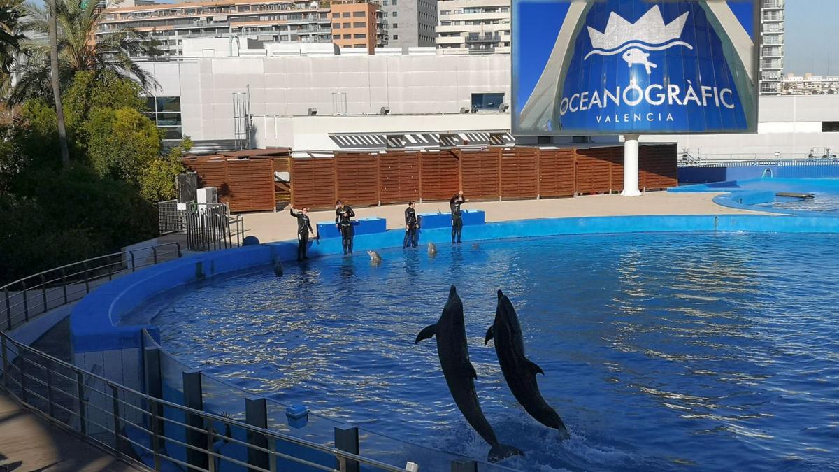 Największe oceanarium Europy