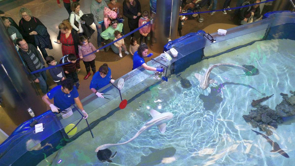 Największe oceanarium Europy