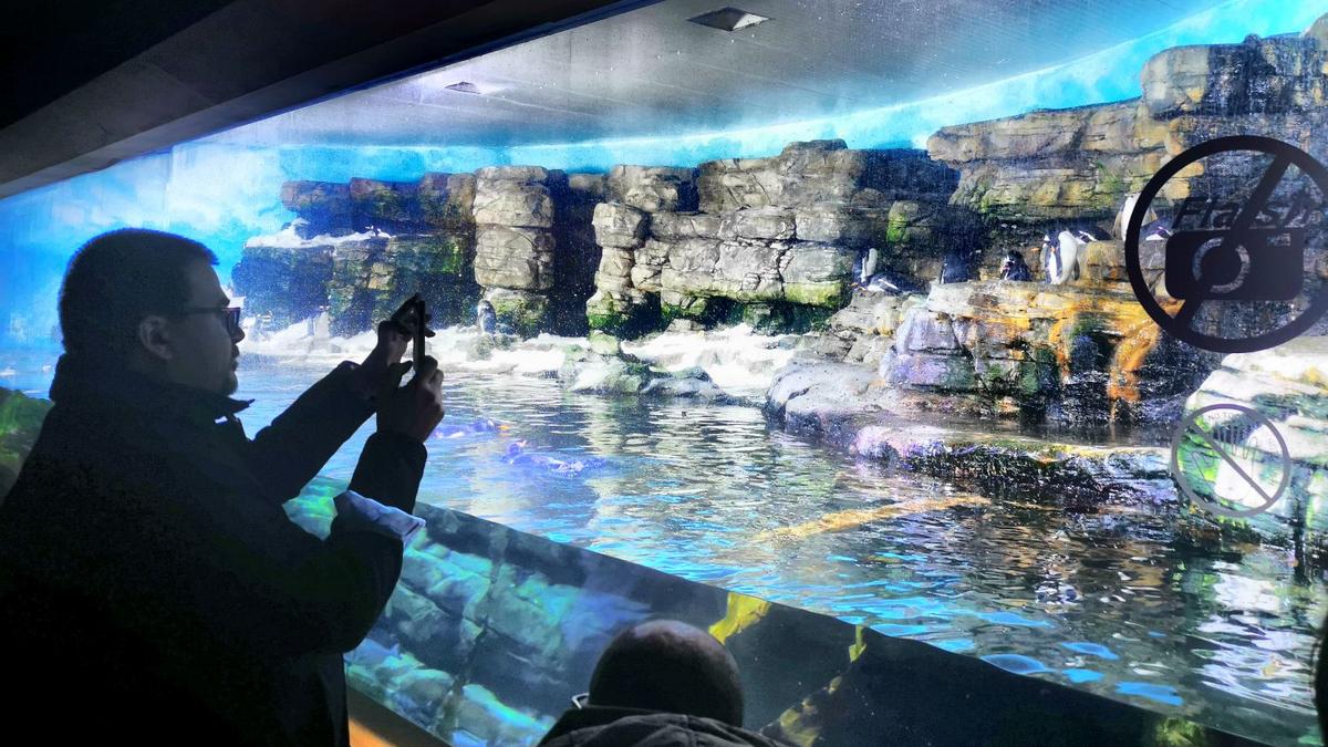 Największe oceanarium Europy