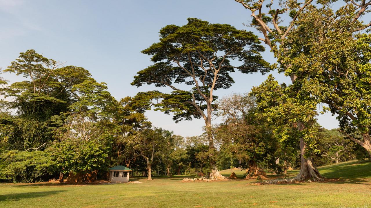 Ogrody botaniczne w Entebbe
