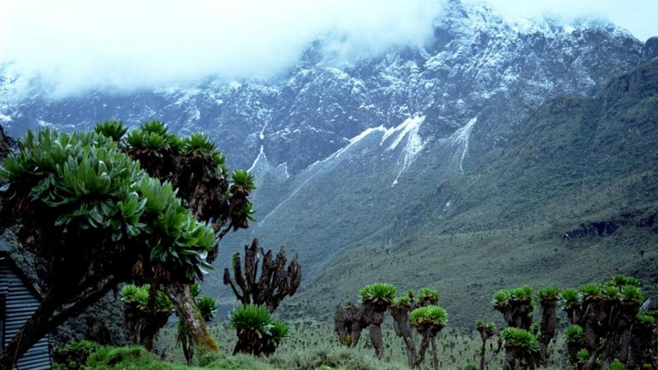 Park Narodowy Gór Rwenzori