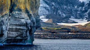 Widok na antarktydzie