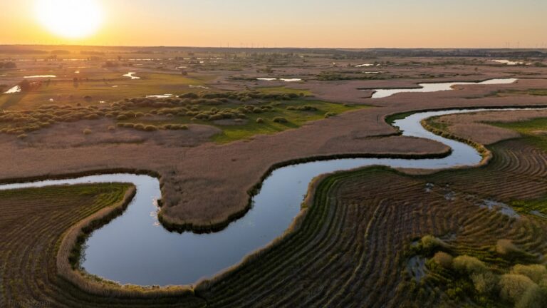 Park Narodowy Doliny Dolnej Odry