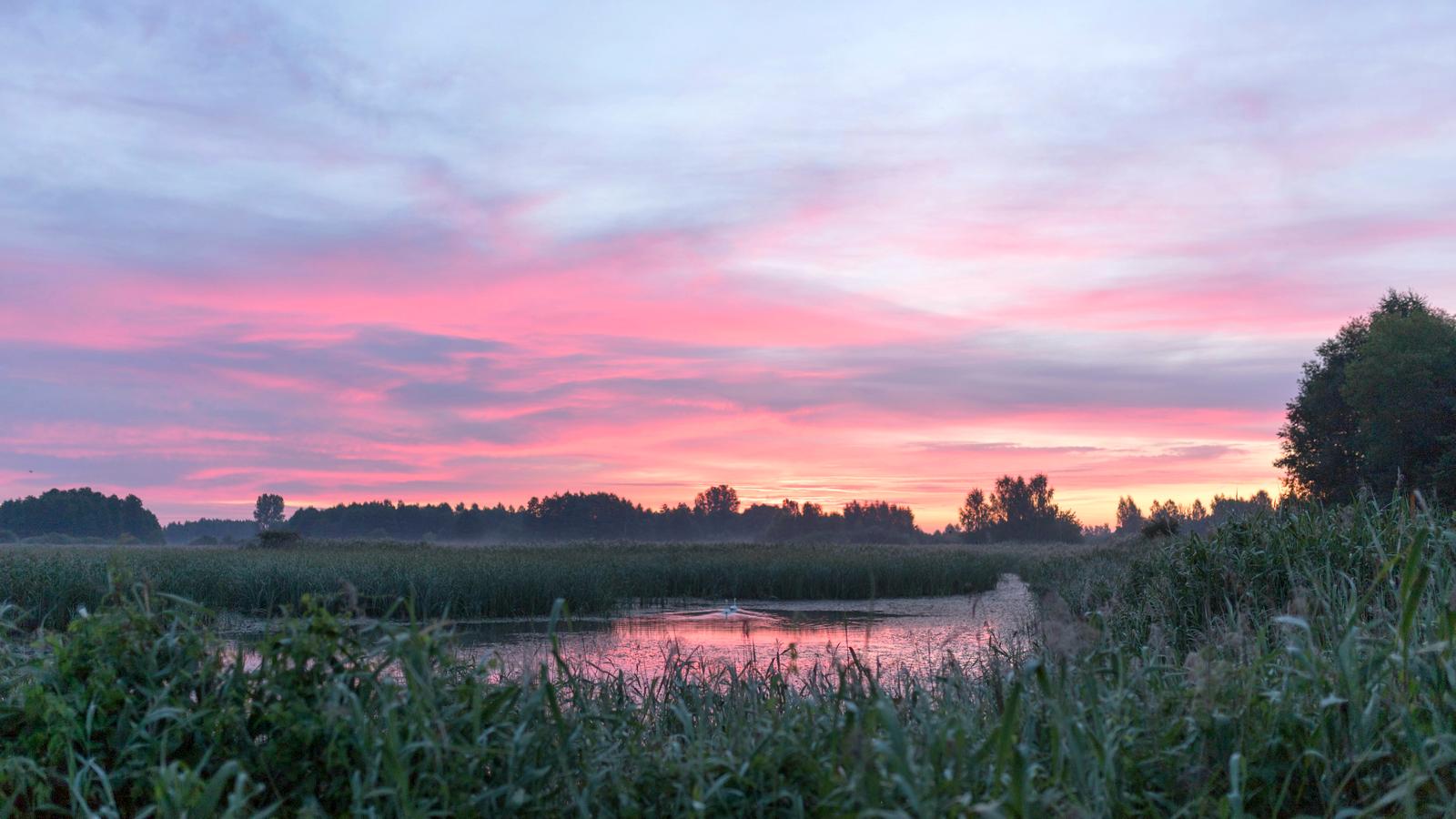 Podlasie