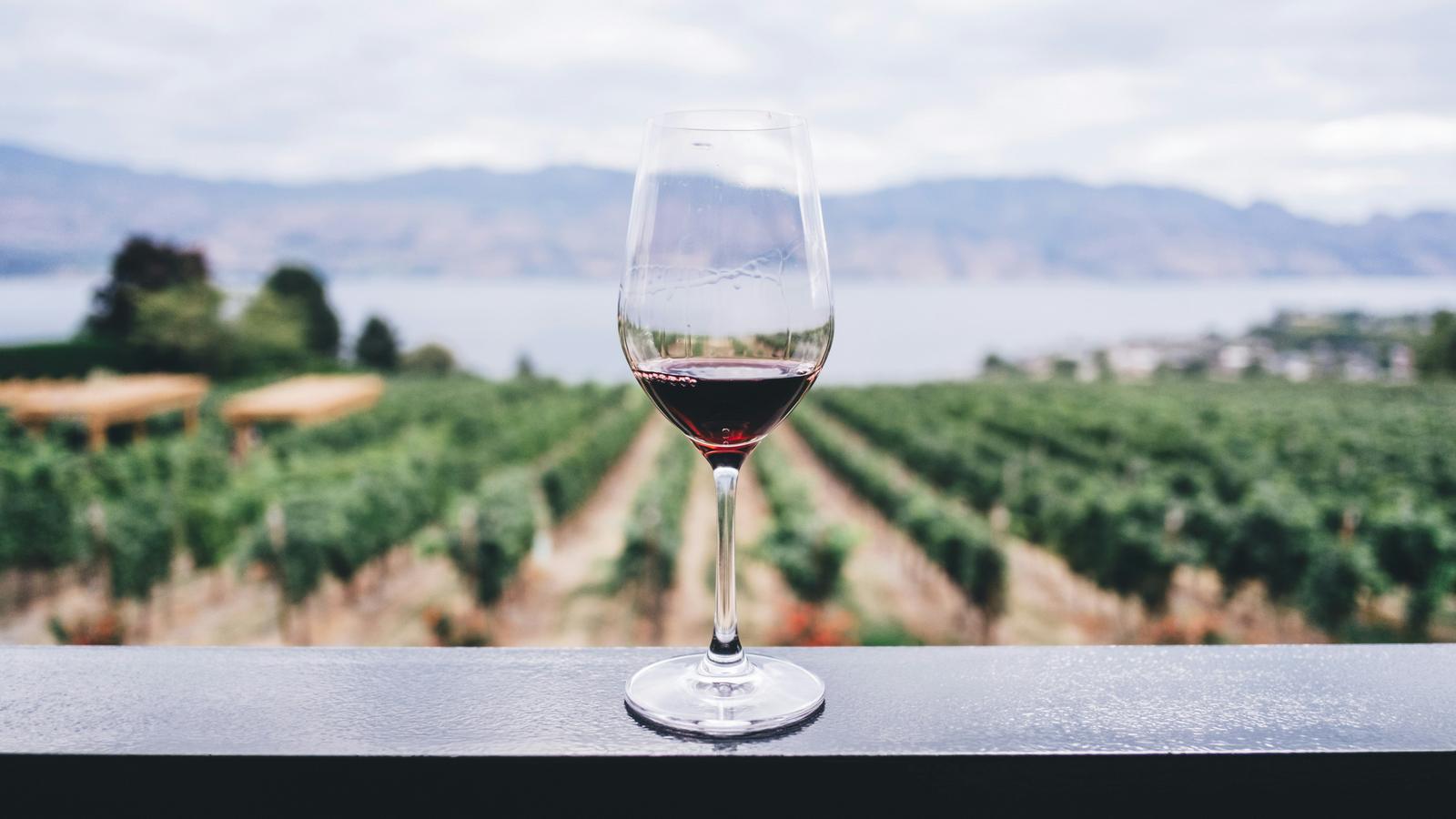 Wino