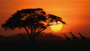 Kenia