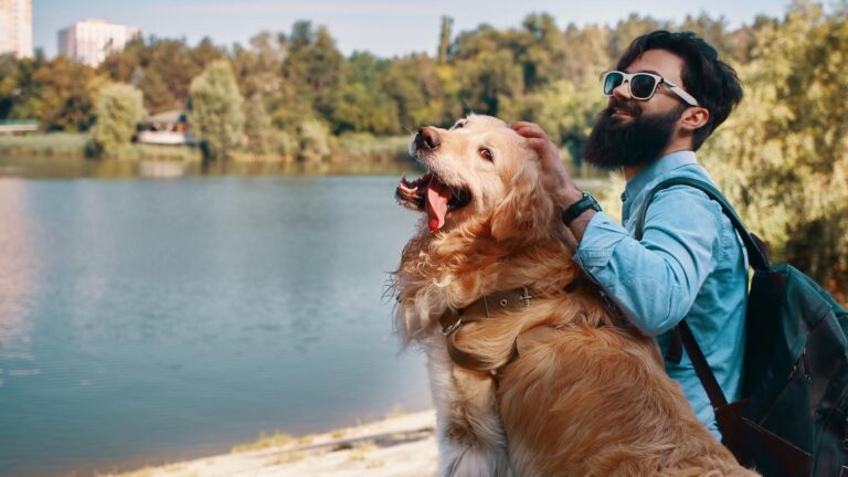 Pet tourism