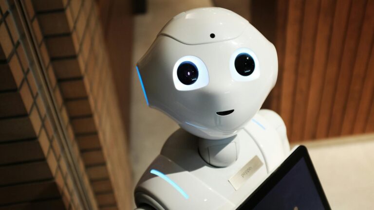 Robot