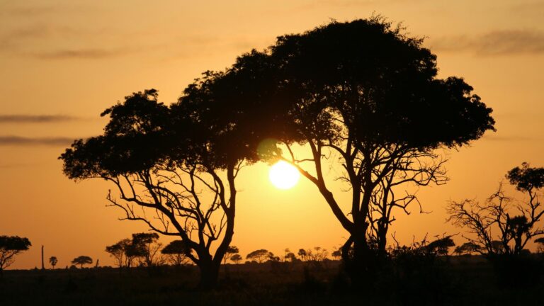 Uganda
