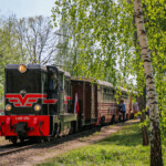Piaseczyńsko-Grójecka Kolej Wąskotorowa Piaseczyńsko-Grójecka Kolej Wąskotorowa