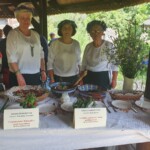Nadbużański Festiwal Smaków w Ziołowym Zakątku w Korycinach.