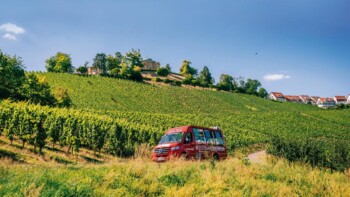 Wycieczka po winnicach, © Stuttgart-Marketing GmbH, Thomas Niedermüller