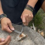 Las Przygodas we Włostownicach, © Dorota OLENDZKA