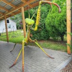 Owadolandia w Wojciechowie, © Dorota OLENDZKA